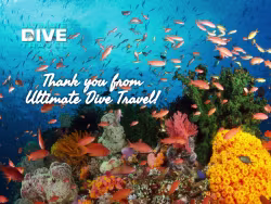 Ultimatedivetravel