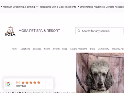 Mosapetsparesort