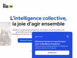 Bigbloom