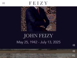 Feizy