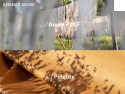 Ananas-anam
