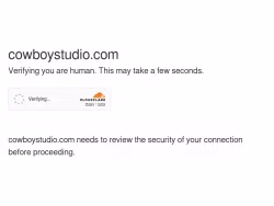 Cowboystudio
