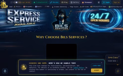 Bilsservices