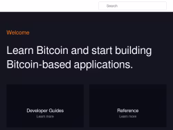 Developer