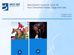 Arco360