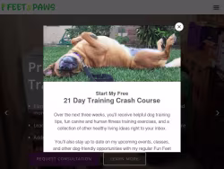 Feetandpaws