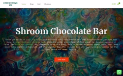 Shroomschocolatebar
