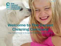 Thecarpetcleaningcompany