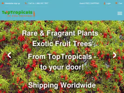 Toptropicals