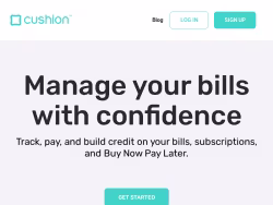 Cushion
