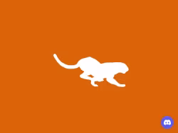 Acinonyxweb