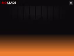 Bigleadsagency
