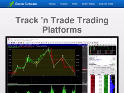 Geckosoftware