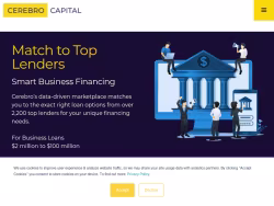 Cerebrocapital