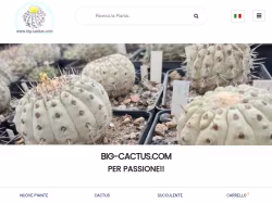 Big-cactus