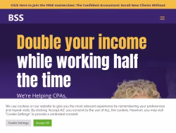 Businesssuccesssolution