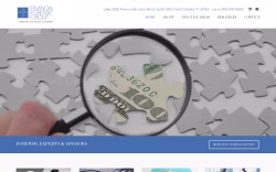 Financialforensicgroup