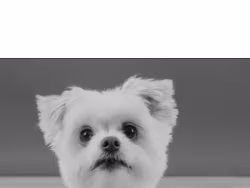 Tdbbsllc
