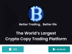 Bitfsg