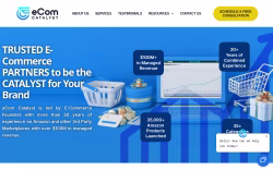 Ecomcatalyst