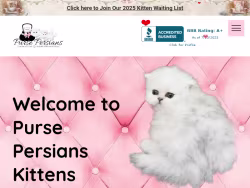 Pursepersians