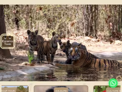 Mysteriesofindia