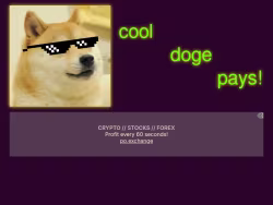 Cooldogepays
