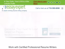 Theessayexpert