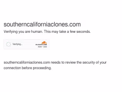 Southerncaliforniaclones