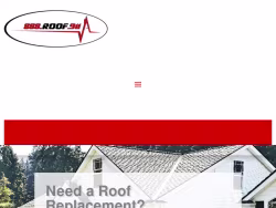 Roof911