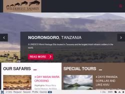 Wildebeestsafaris