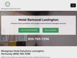 Moldremovallexingtonky