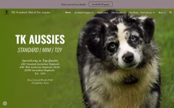 TK Standard, Mini & Toy Aussies
