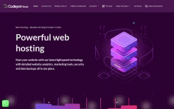 Codeyonhost
