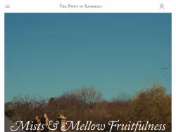 Thenewtinsomerset