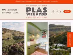 Plasweunydd