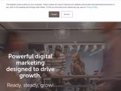 Angelfish-marketing