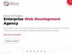 Goliveamericas
