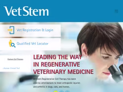 Vetstem