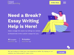 Essayswriting