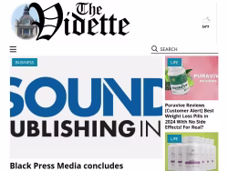 Thevidette