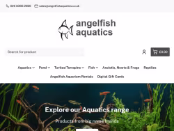 Angelfishaquatics