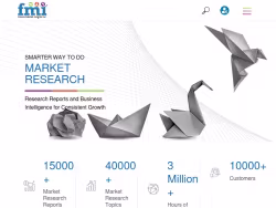 Futuremarketinsights