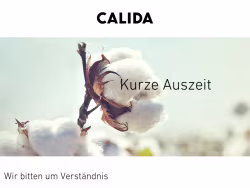 Calida