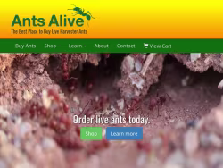 Antsalive
