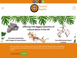 Buzzardreptile