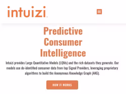 Intuizi