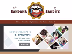 Thebandanabandits
