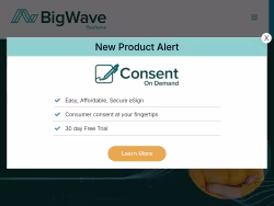 Bigwavesystems