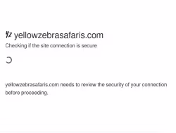 Yellowzebrasafaris